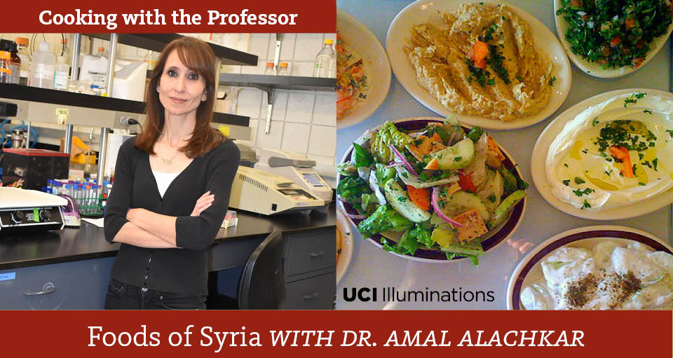 foods of syria with Dr. Amal Alachkar