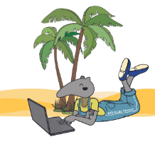 Anteater laying on the beach next to a palm tree with its laptop